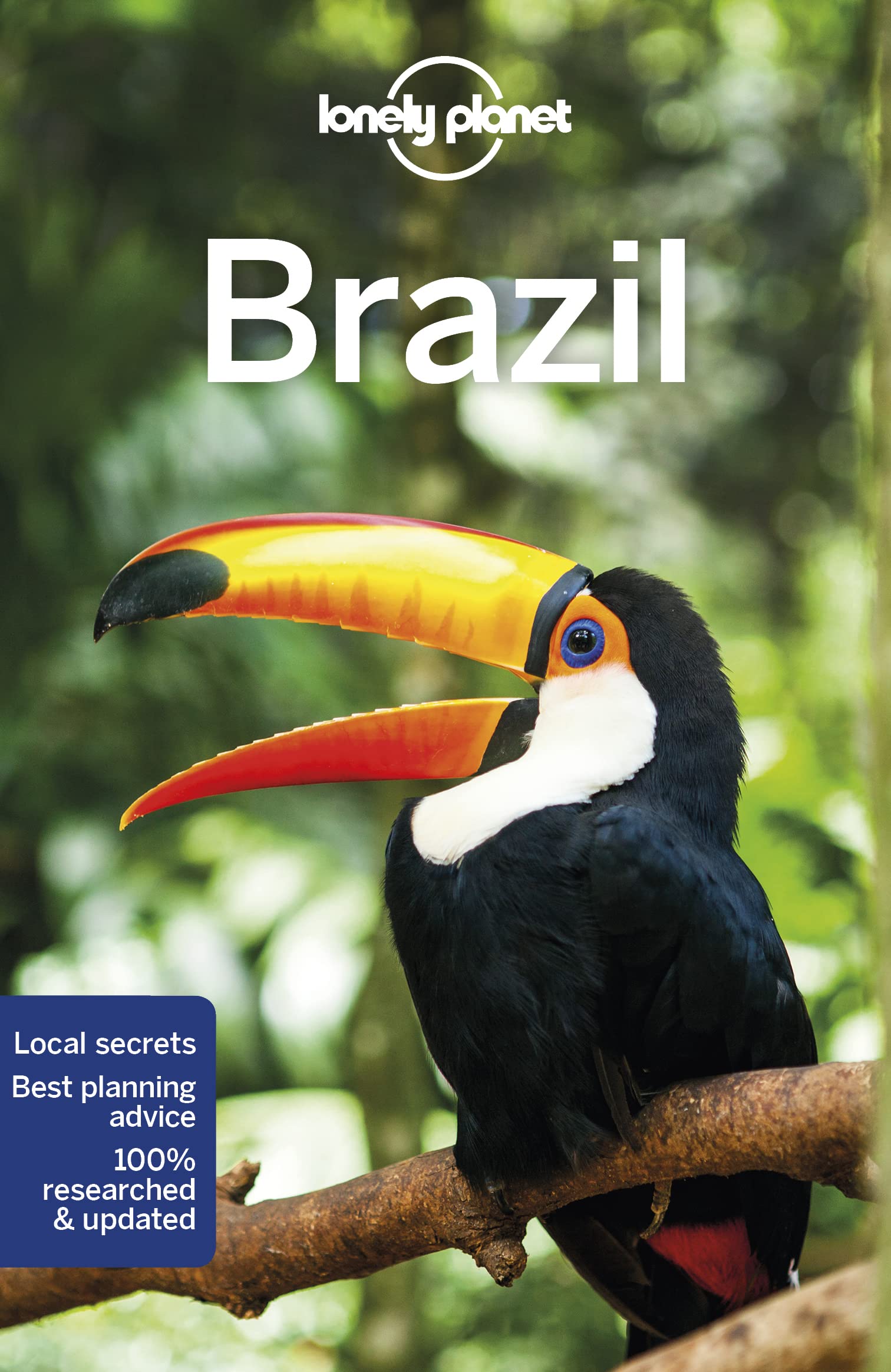 מדריך באנגלית LP ברזיל